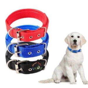 Flea collar for dog